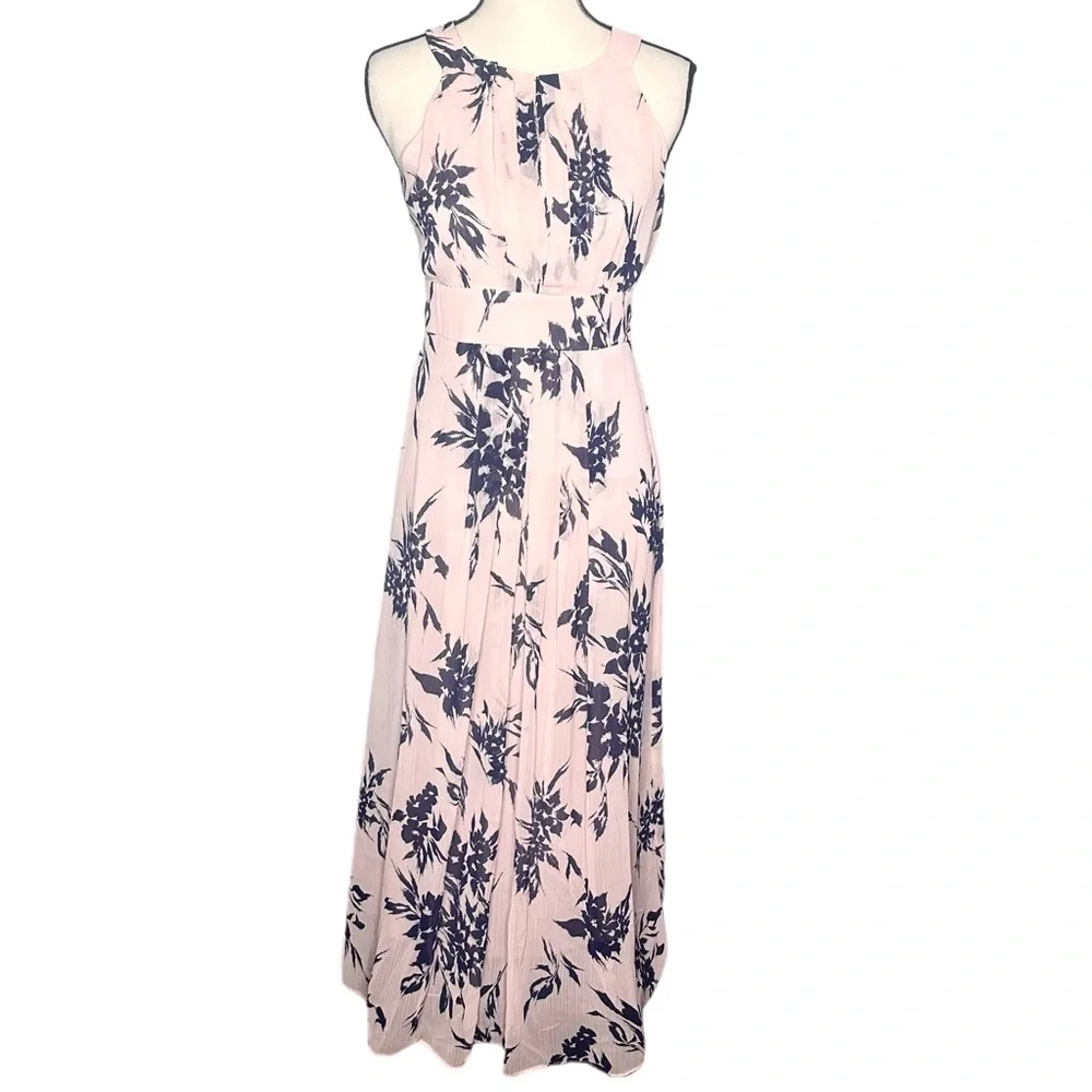 Ronni Nicole Dress 4P Floral Blush Chiffon Maxi - Picture 2 of 12